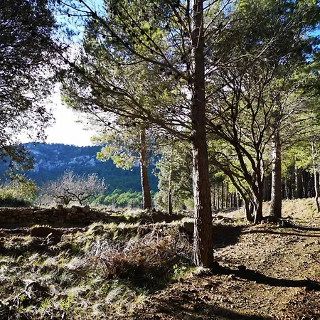 Vakantiehuis L'antic Forn De Paúls